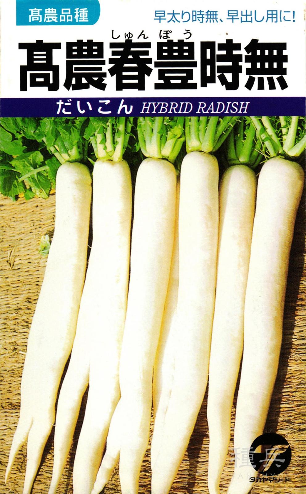 ダイコン 種 『高農春豊時無』  タカヤマシード