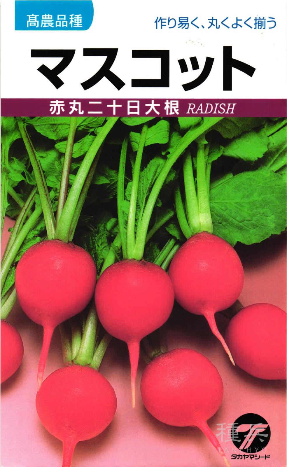ハツカダイコン 種 『マスコット』  タカヤマシード