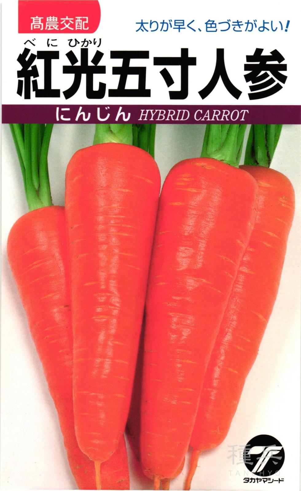 ニンジン 種 『紅光五寸人参』  タカヤマシード