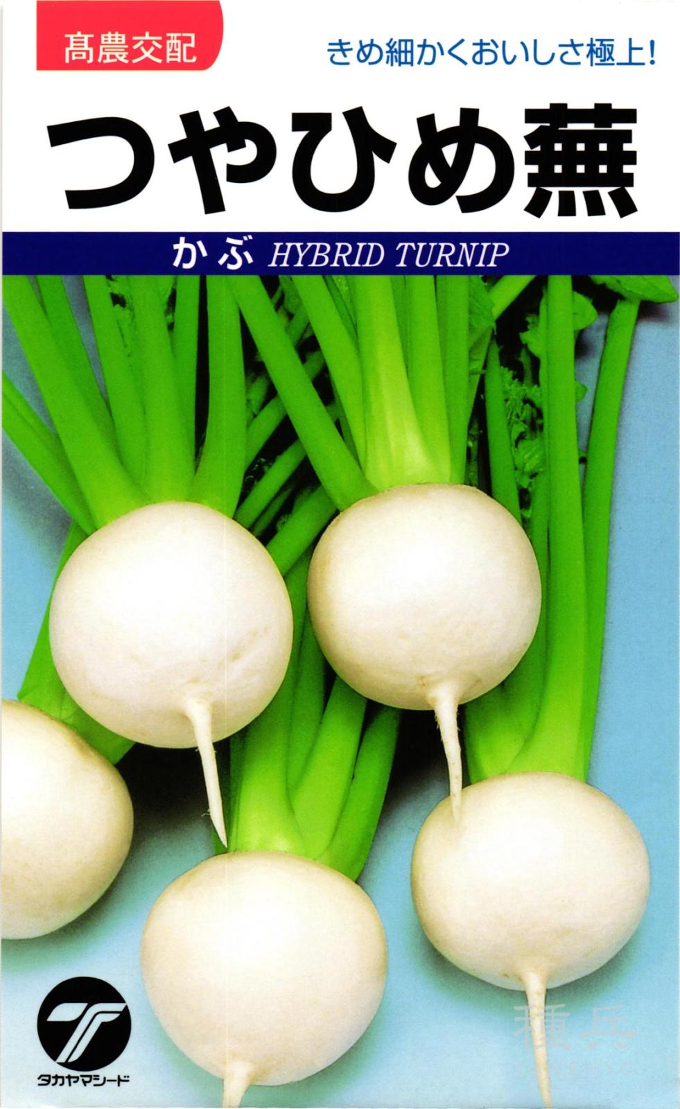 小カブ 種 『つやひめ蕪』  タカヤマシード