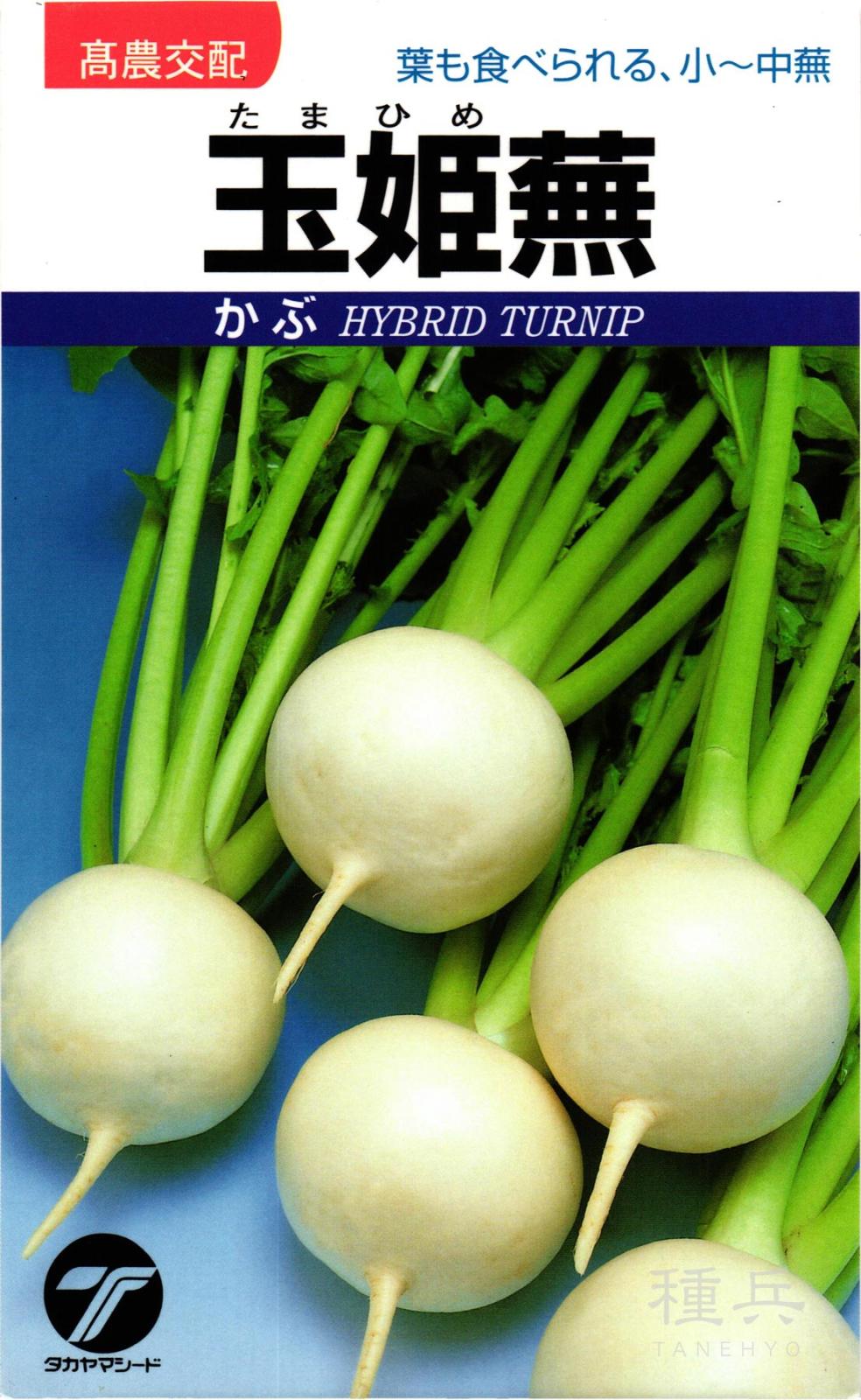 小～中カブ 種 『玉姫蕪』  タカヤマシード