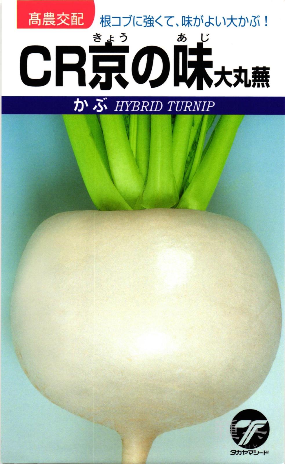 カブ 種 『CR京の味（大丸蕪）』  タカヤマシード