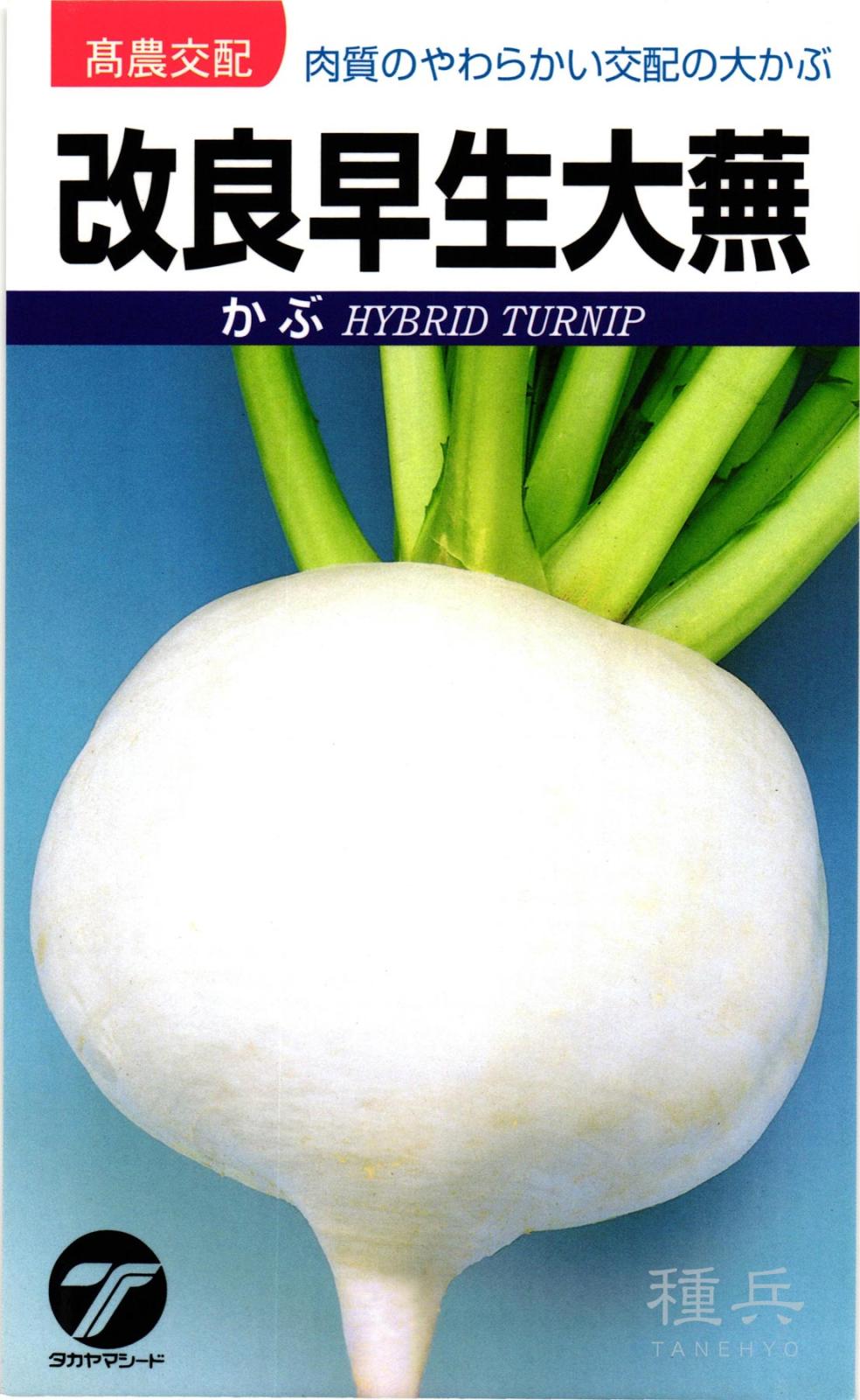 カブ 種 『改良早生大蕪』  タカヤマシード