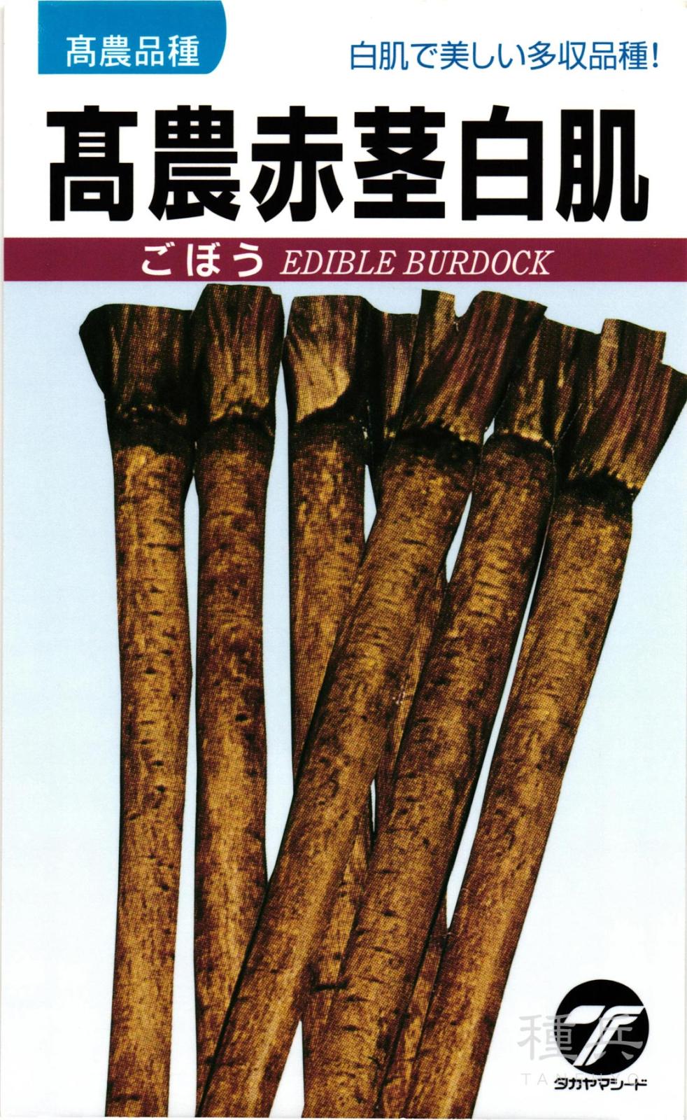 ゴボウ 種 『高農赤茎白肌』  タカヤマシード