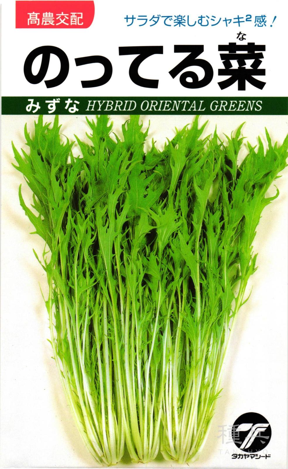 ミズナ 種 『のってる菜』  タカヤマシード
