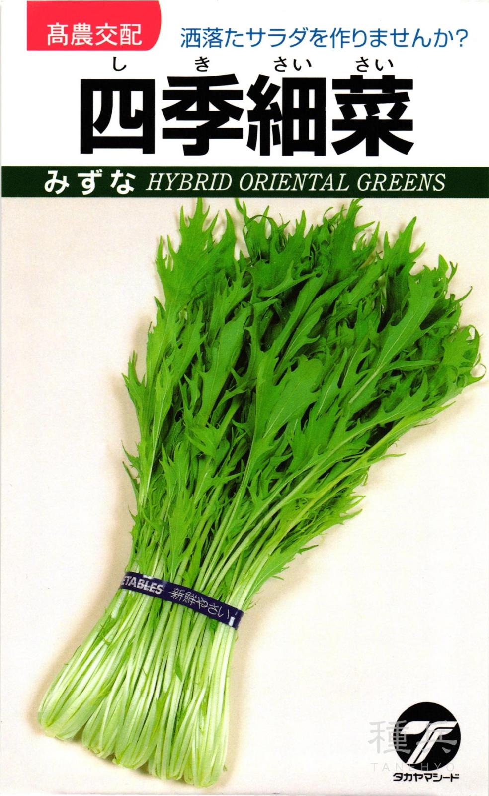 ミズナ 種 『四季細菜』  タカヤマシード