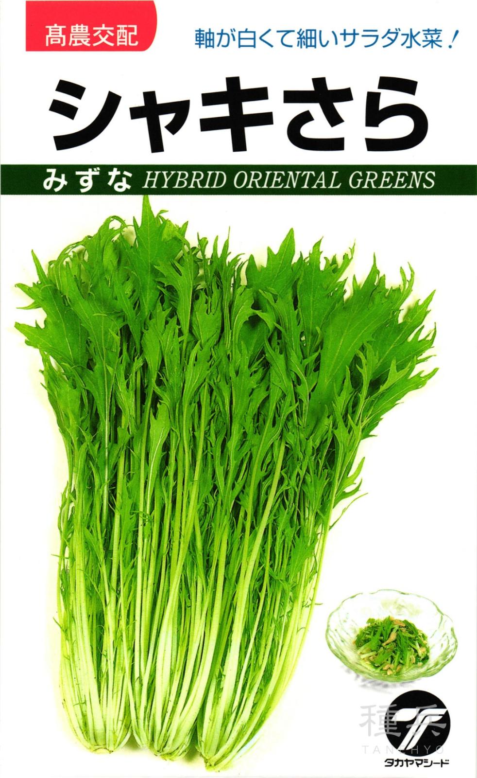ミズナ 種 『シャキさら』  タカヤマシード