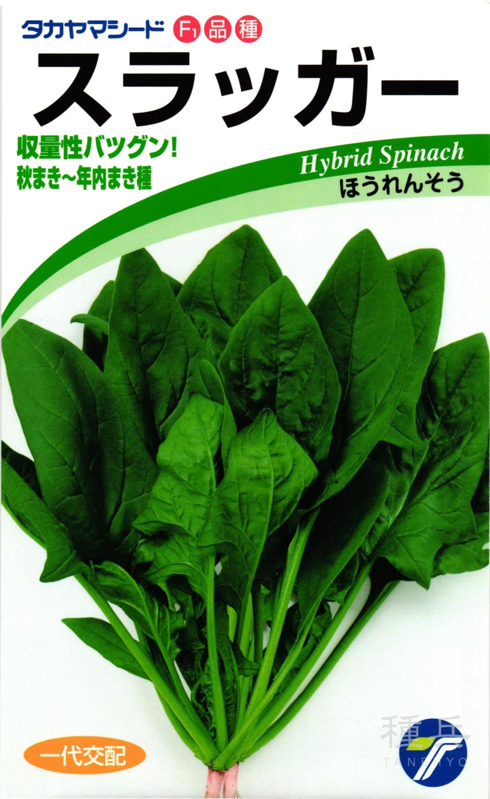 ホウレンソウ 種 『スラッガー』  タカヤマシード