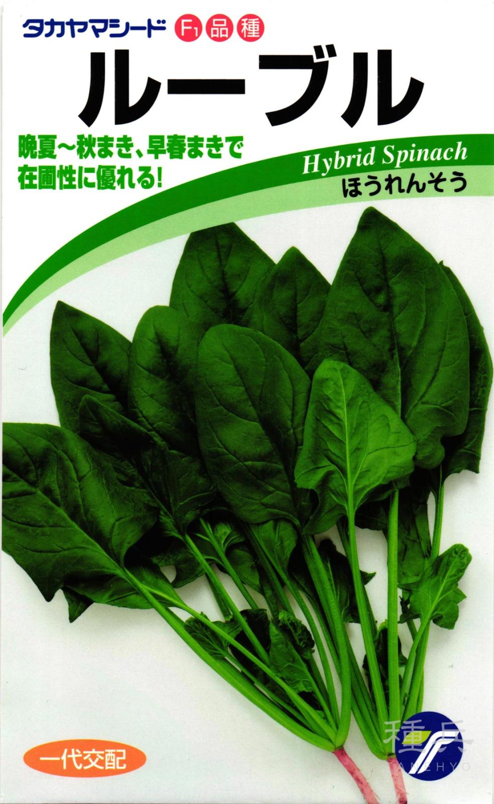 ホウレンソウ 種 『ルーブル』  タカヤマシード
