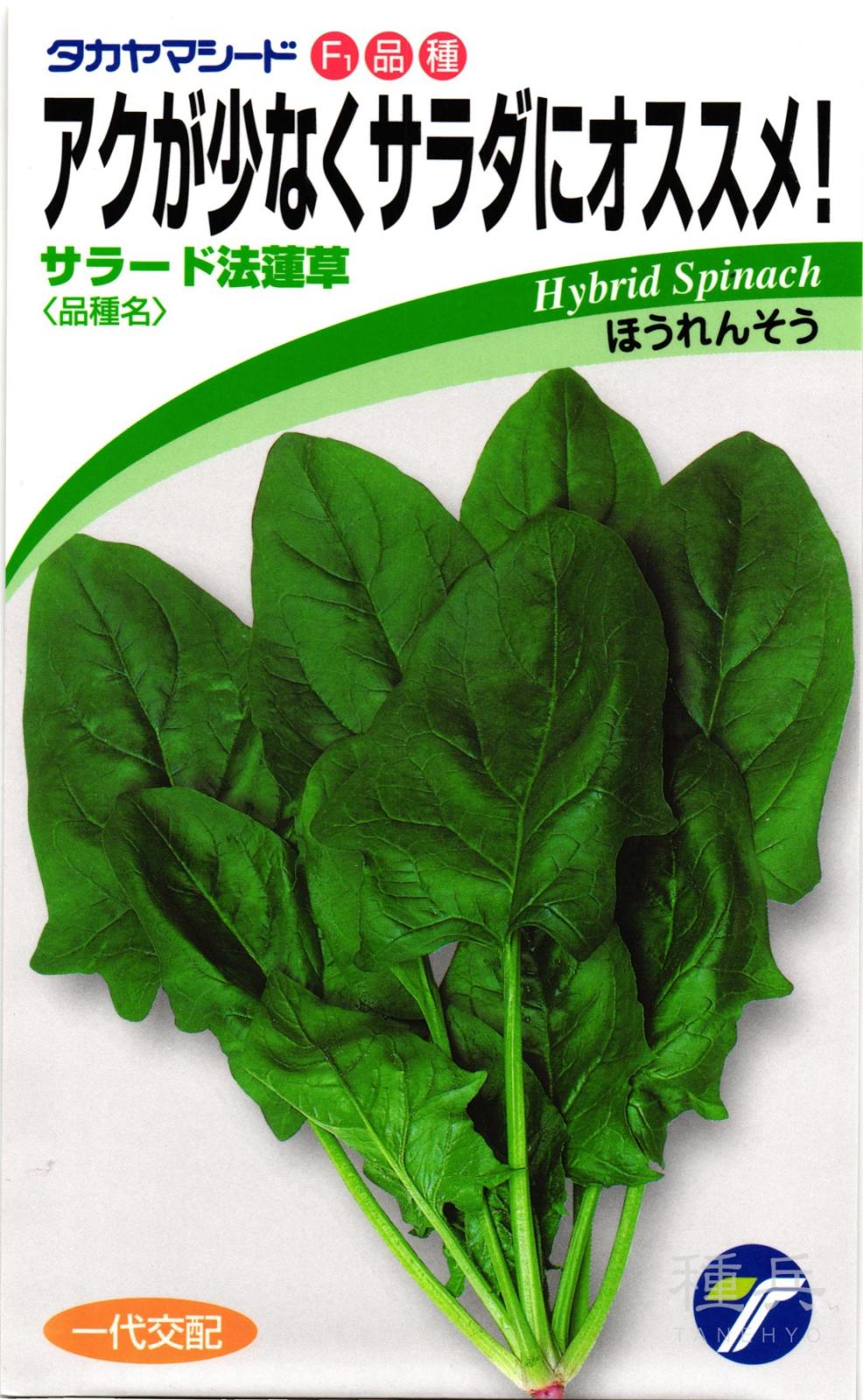 ホウレンソウ 種 『サラード』  タカヤマシード