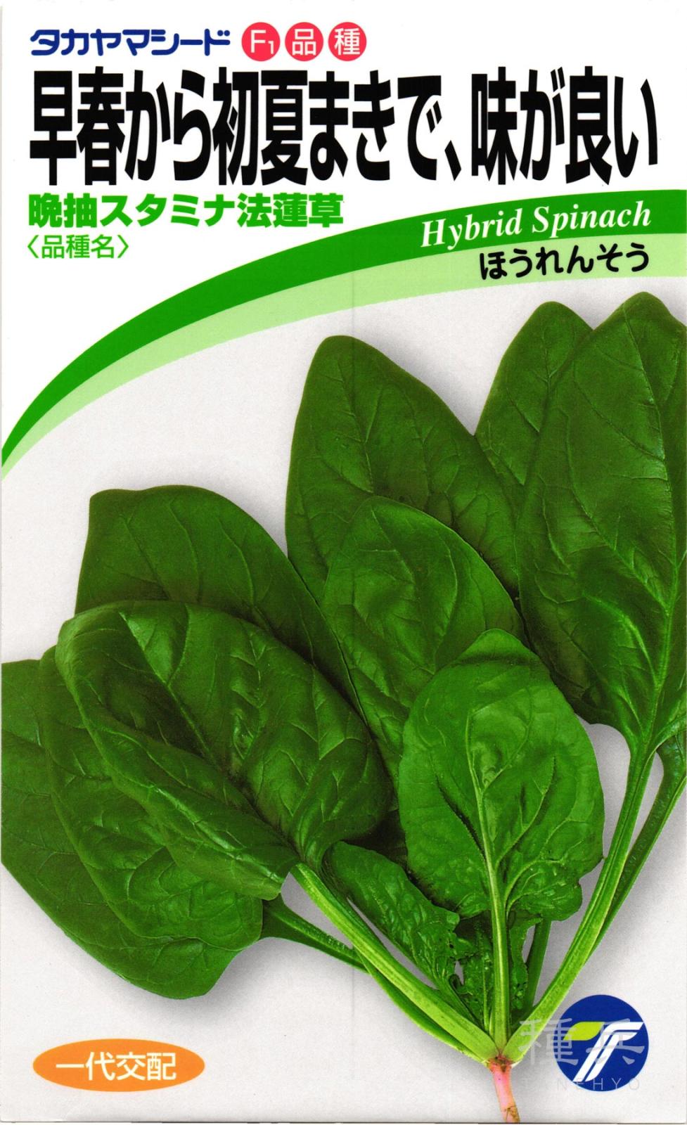 ホウレンソウ 種 『晩抽スタミナ法蓮草』  タカヤマシード