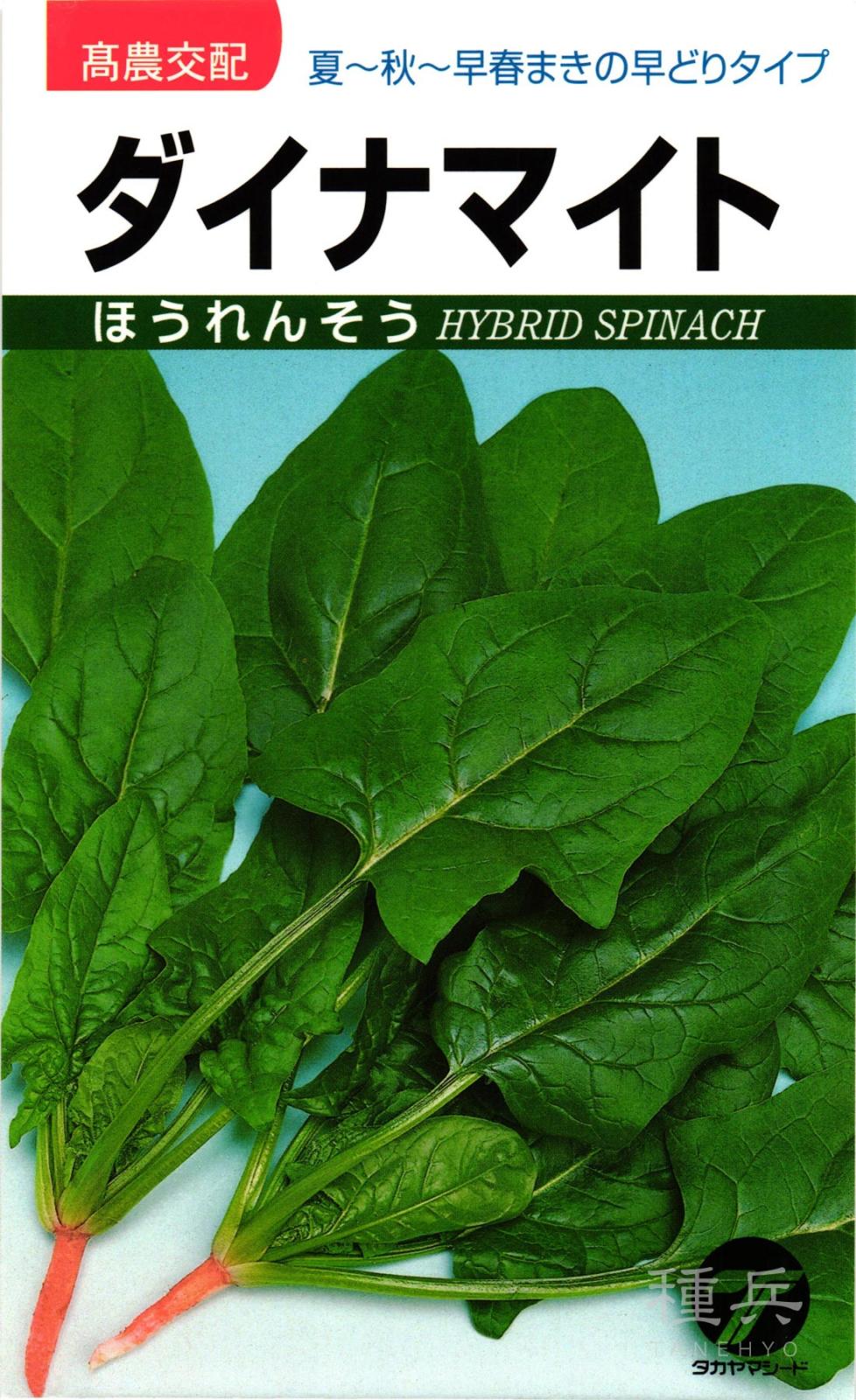 ホウレンソウ 種 『ダイナマイト法蓮草』  タカヤマシード