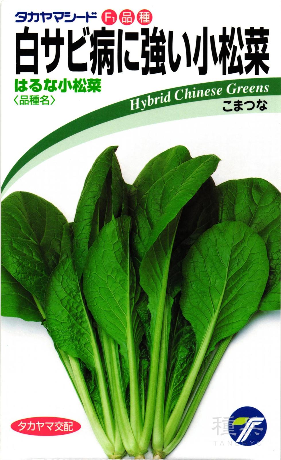 コマツナ 種 『はるな小松菜』  タカヤマシード