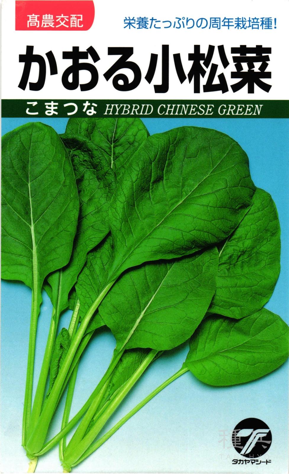 コマツナ 種 『かおる小松菜』  タカヤマシード