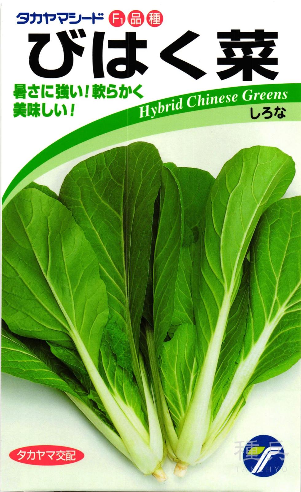 チンゲンサイ 種 『びはく菜』  タカヤマシード