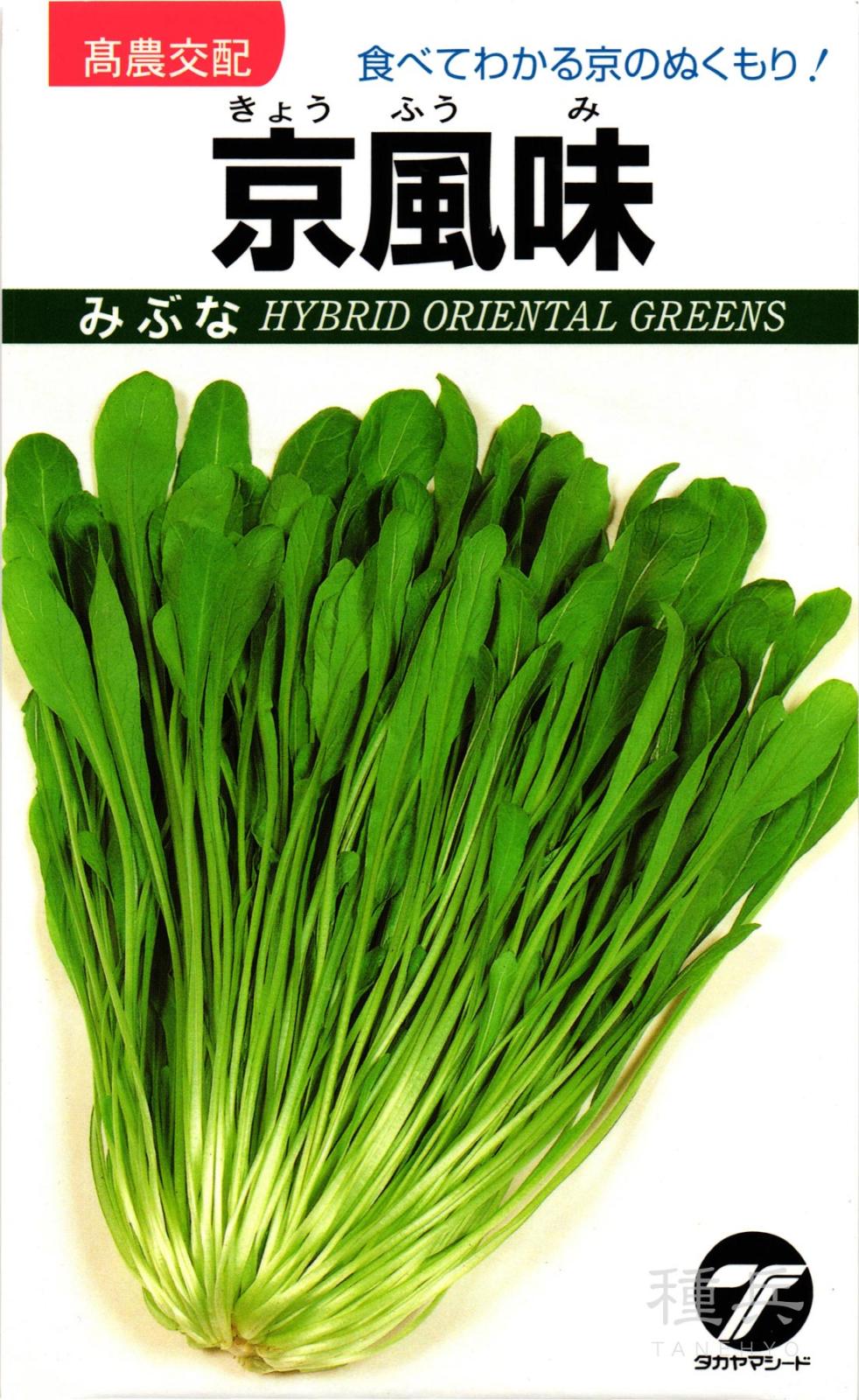 ミブナ 種 『京風味みぶな』  タカヤマシード