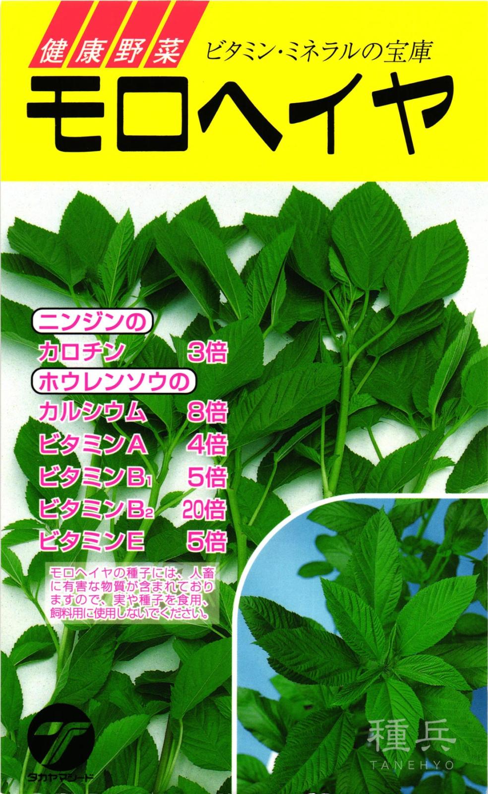 モロヘイヤ 種 『モロヘイヤ』  タカヤマシード