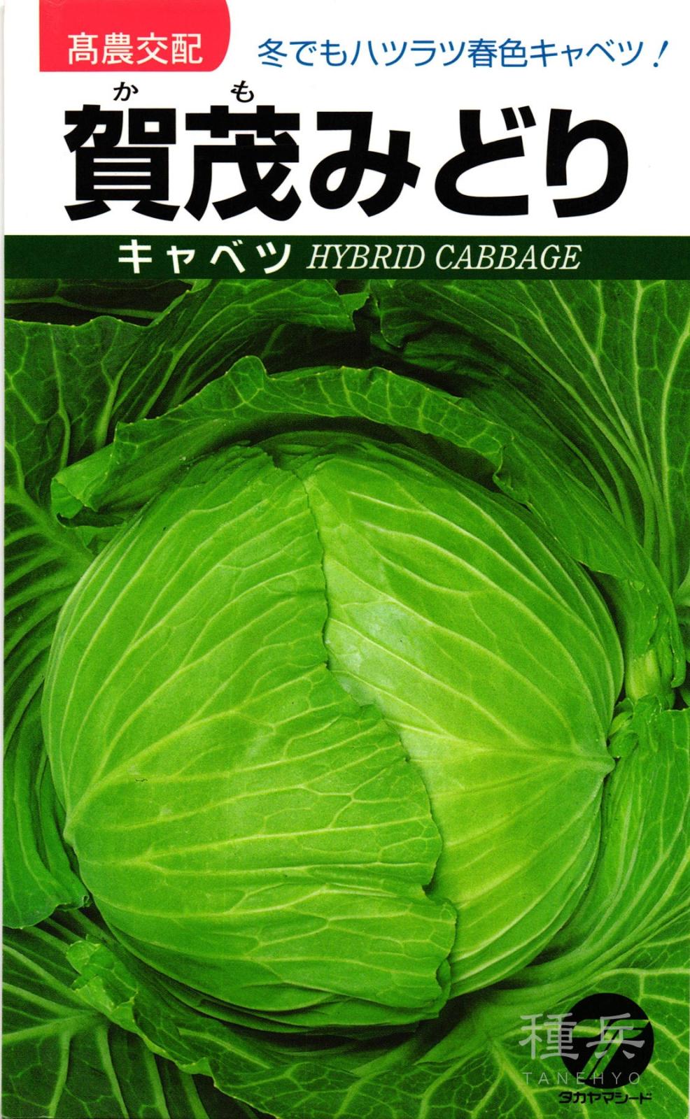 キャベツ 種 『賀茂みどり』  タカヤマシード