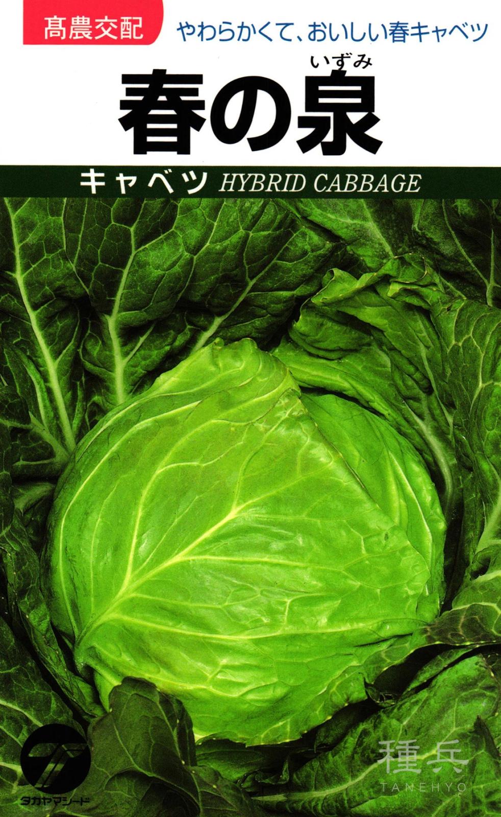キャベツ 種 『春の泉』  タカヤマシード