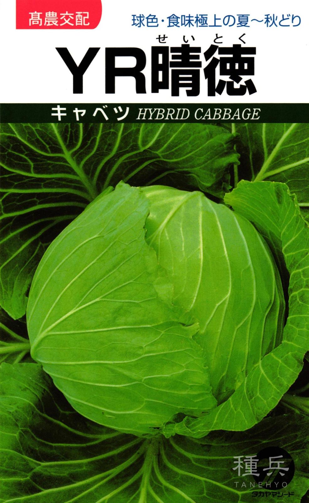 キャベツ 種 『YR晴徳』  タカヤマシード