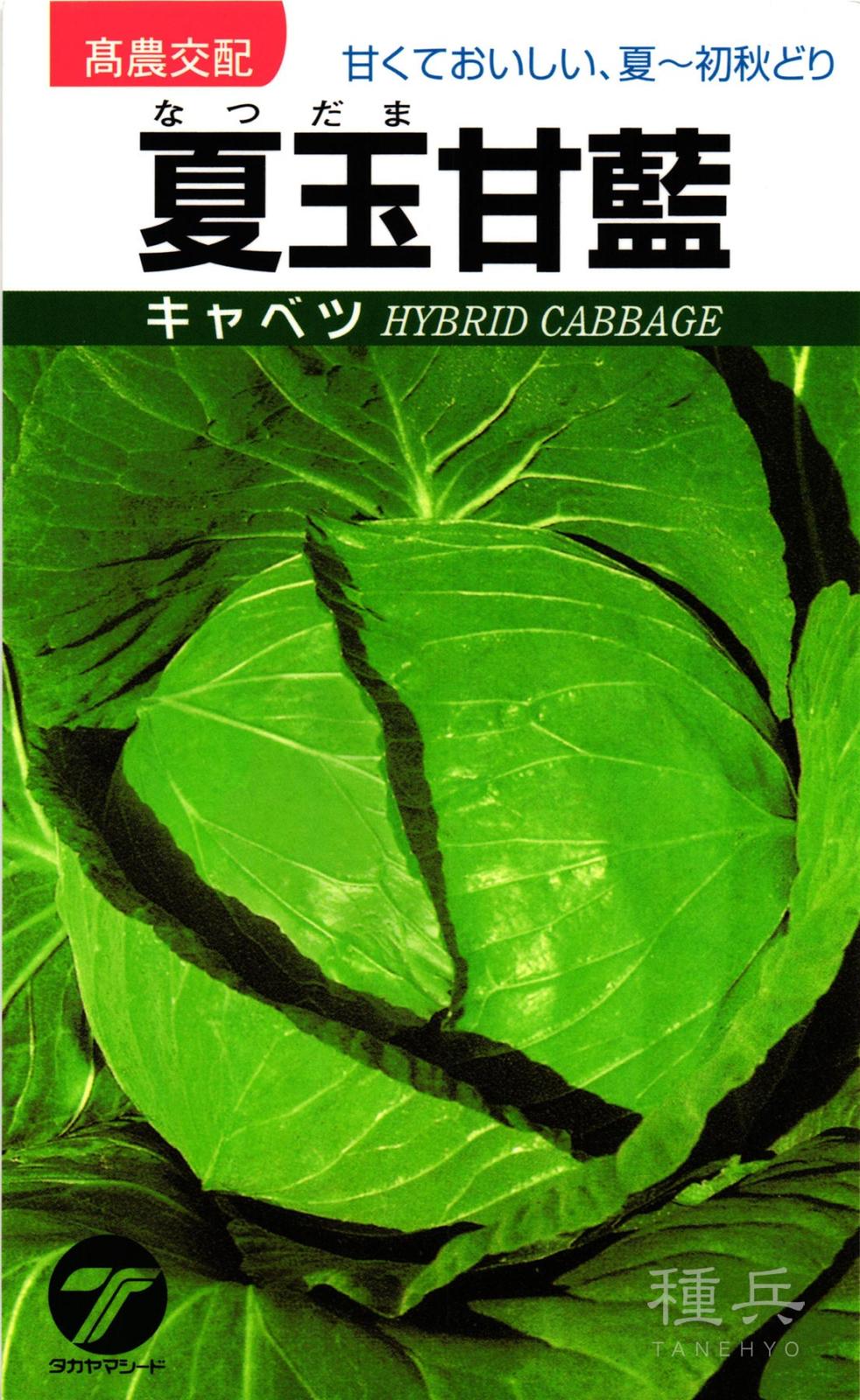 キャベツ 種 『夏玉』  タカヤマシード