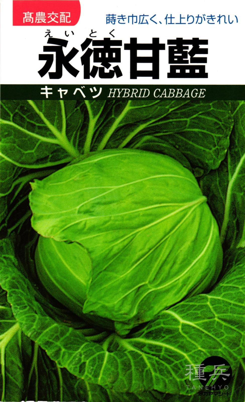 キャベツ 種 『永徳』  タカヤマシード