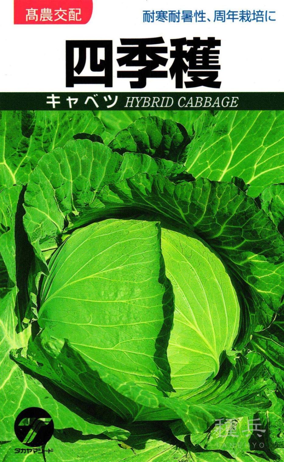 キャベツ 種 『四季穫』  タカヤマシード