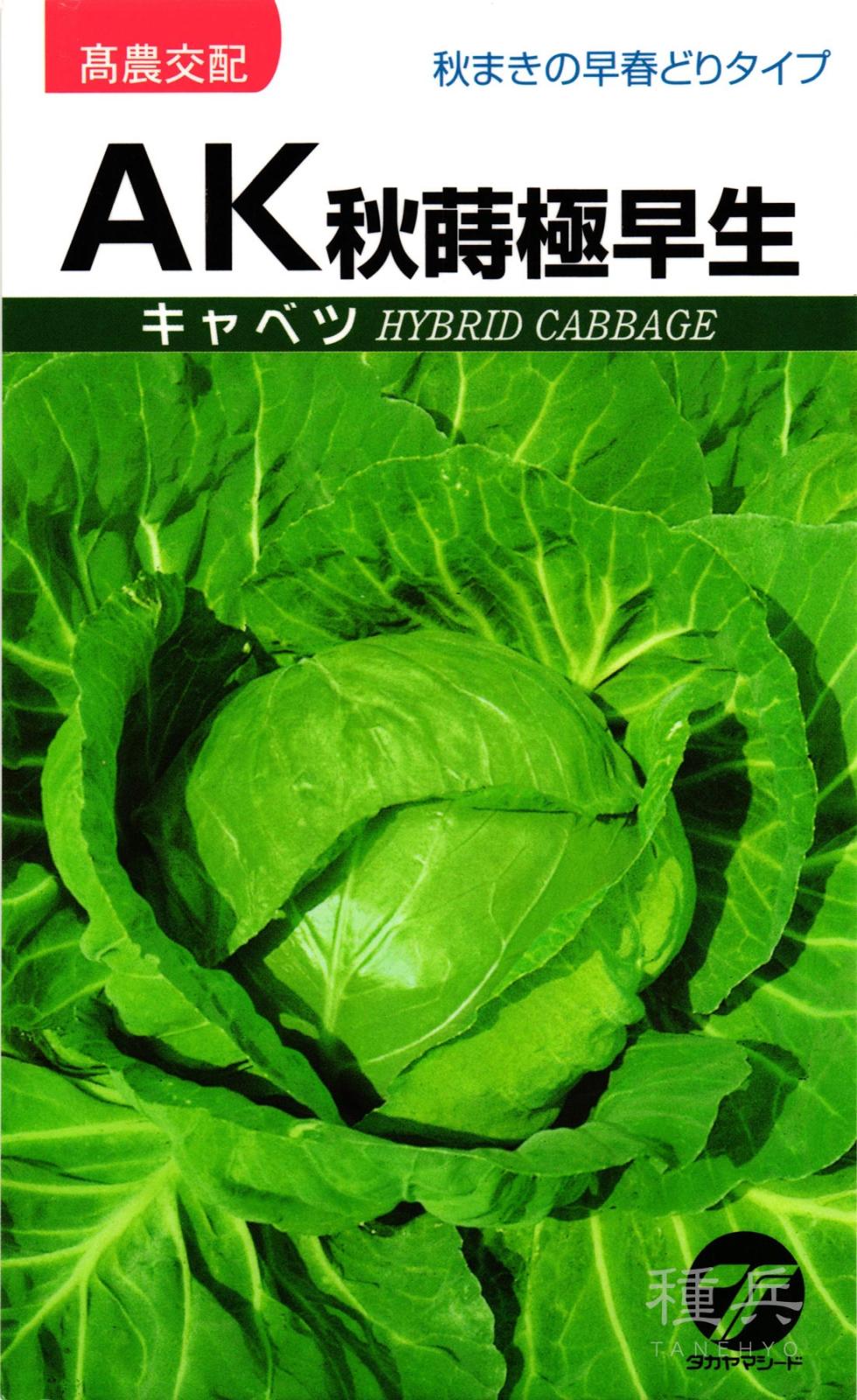キャベツ 種 『AK秋蒔極早生』  タカヤマシード