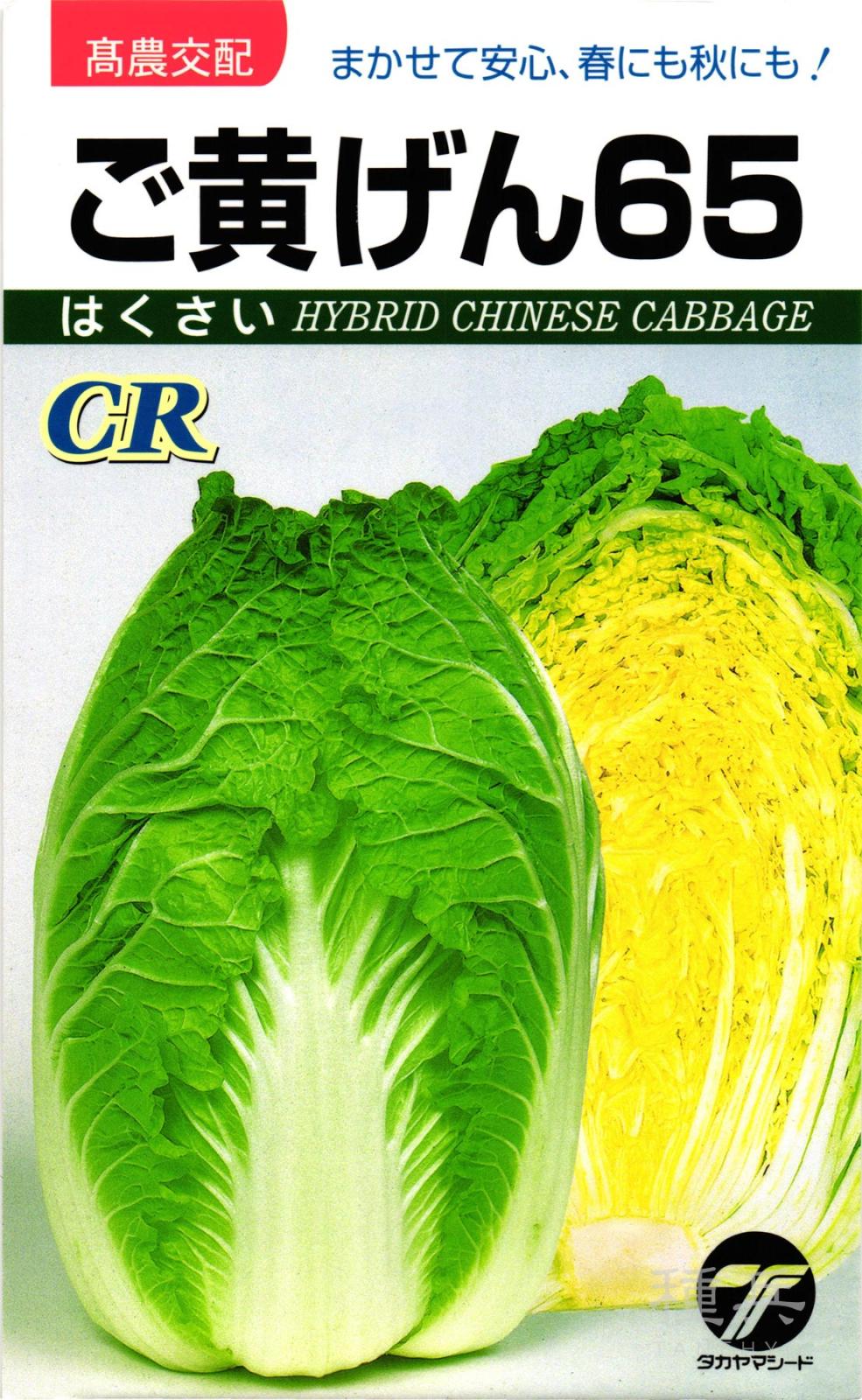 黄芯ハクサイ 種 『CRご黄げん６５』  タカヤマシード