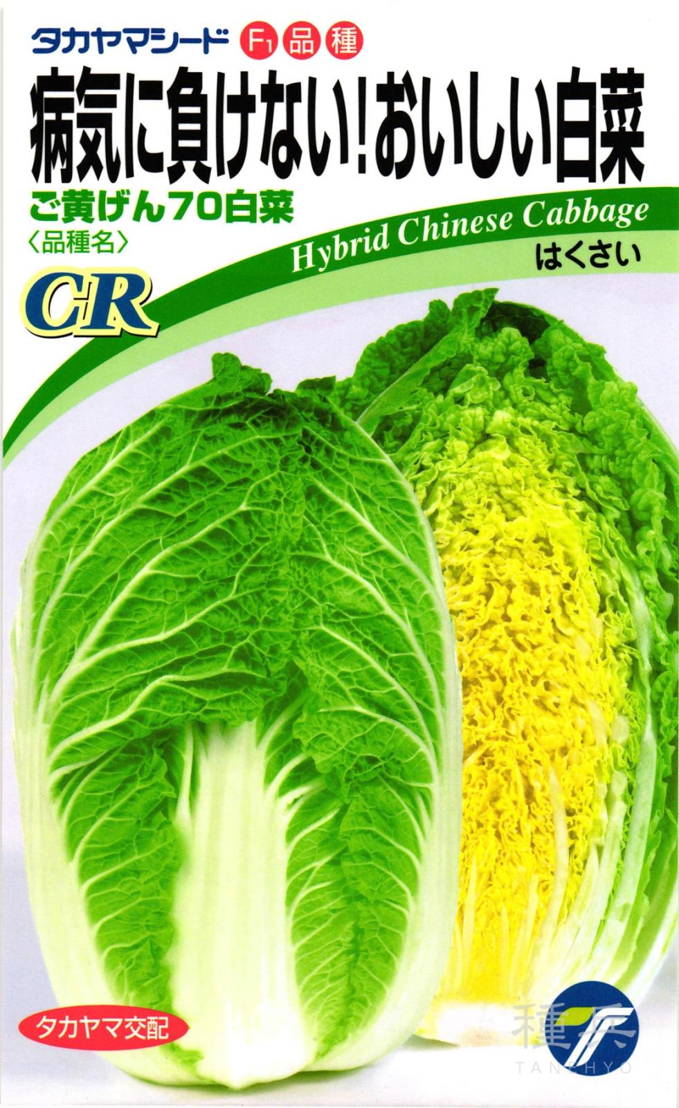 黄芯ハクサイ 種 『CRご黄げん７０』  タカヤマシード