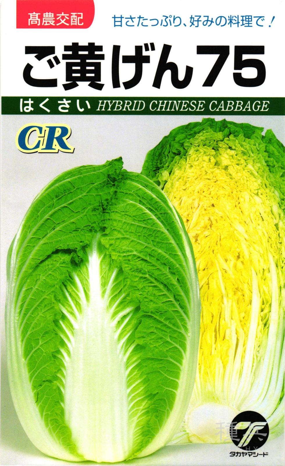 黄芯ハクサイ 種 『CRご黄げん７５』  タカヤマシード