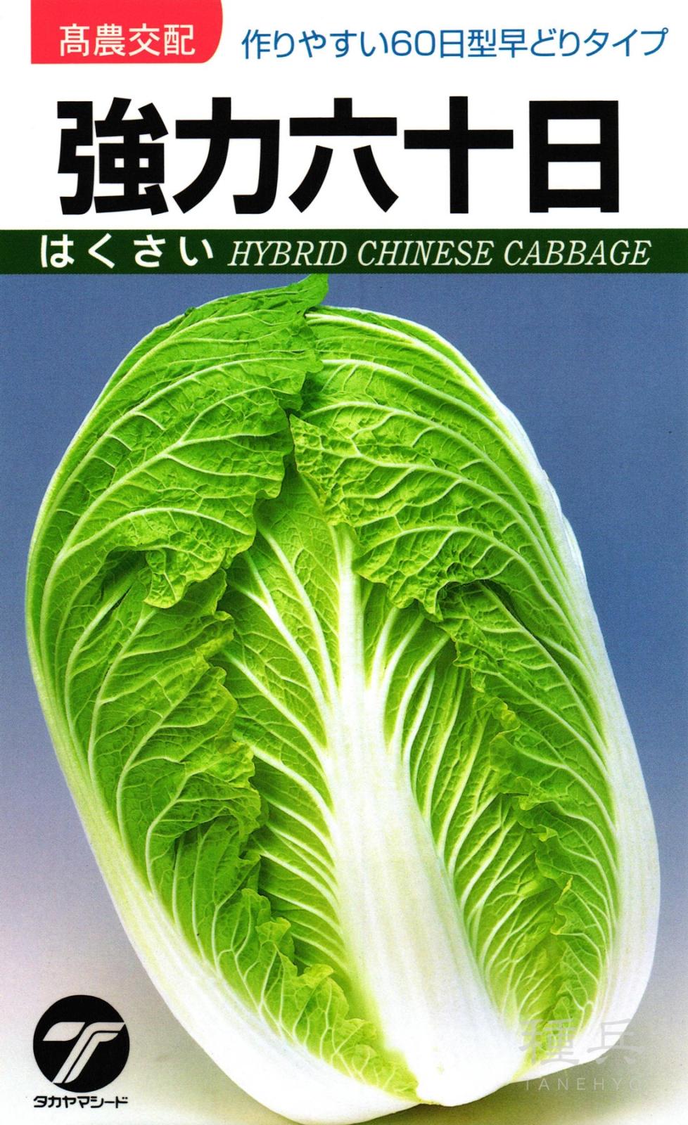 ハクサイ 種 『強力六十日』  タカヤマシード