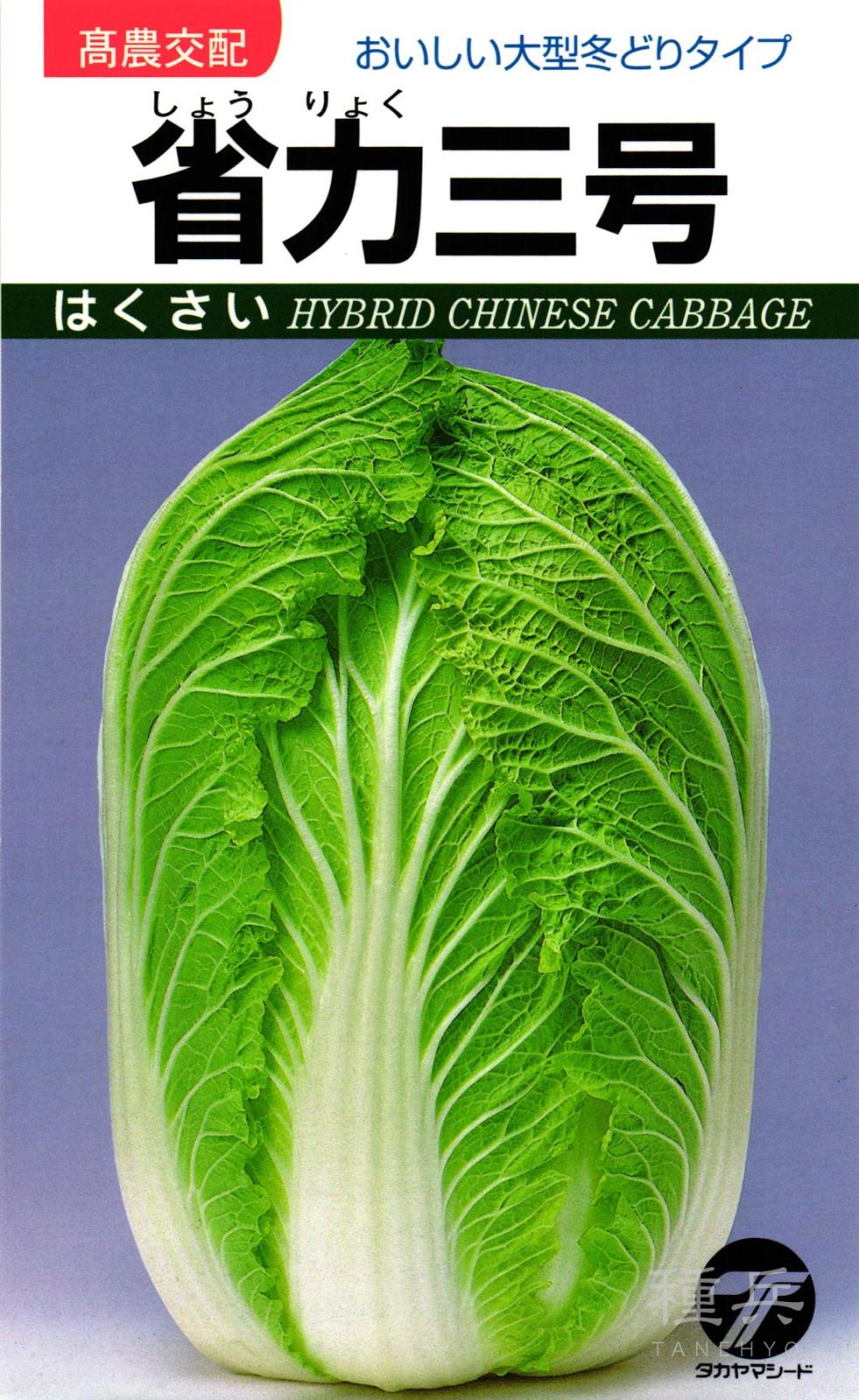 ハクサイ 種 『省力三号』  タカヤマシード