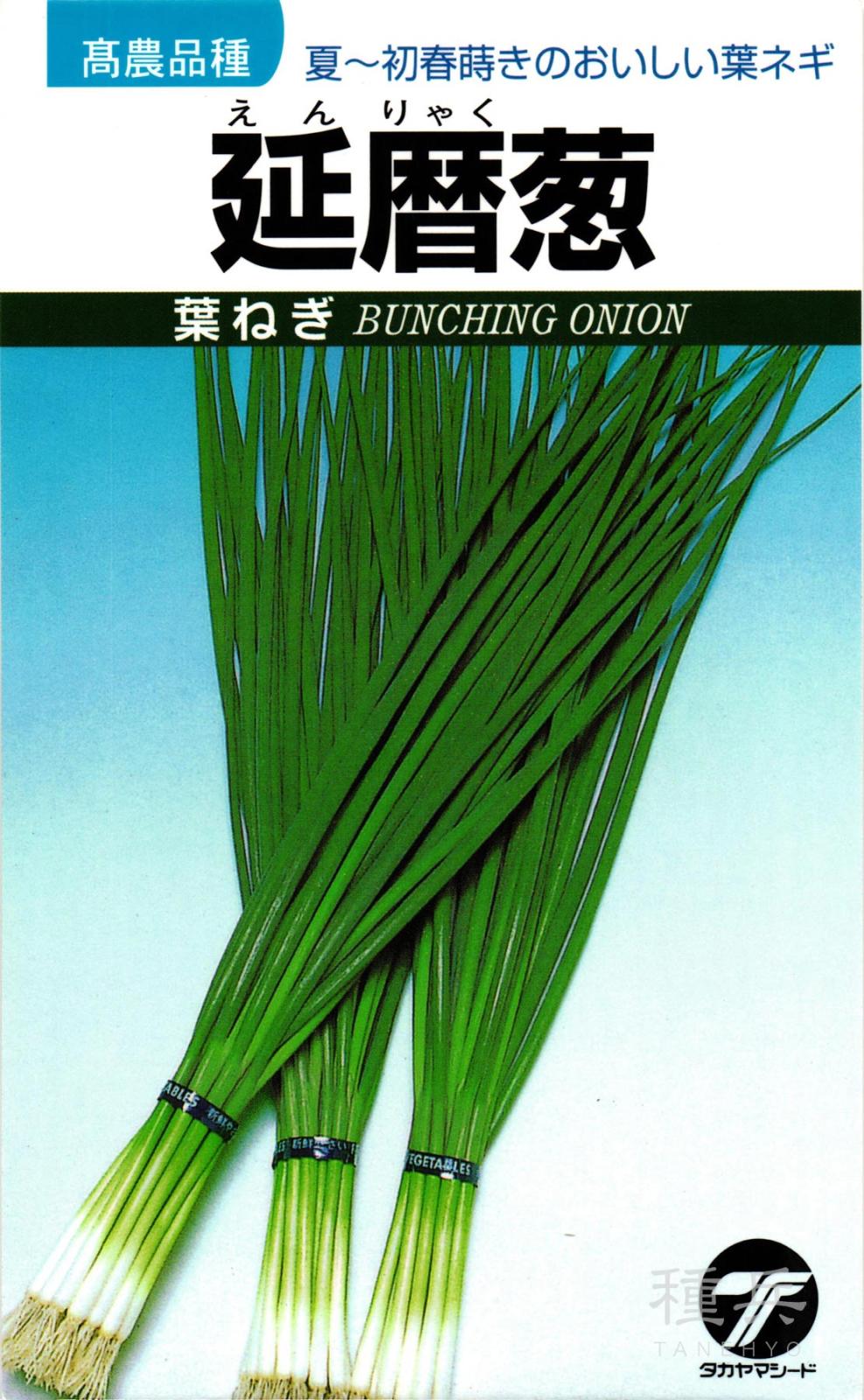葉ネギ 種 『延暦葱』  タカヤマシード