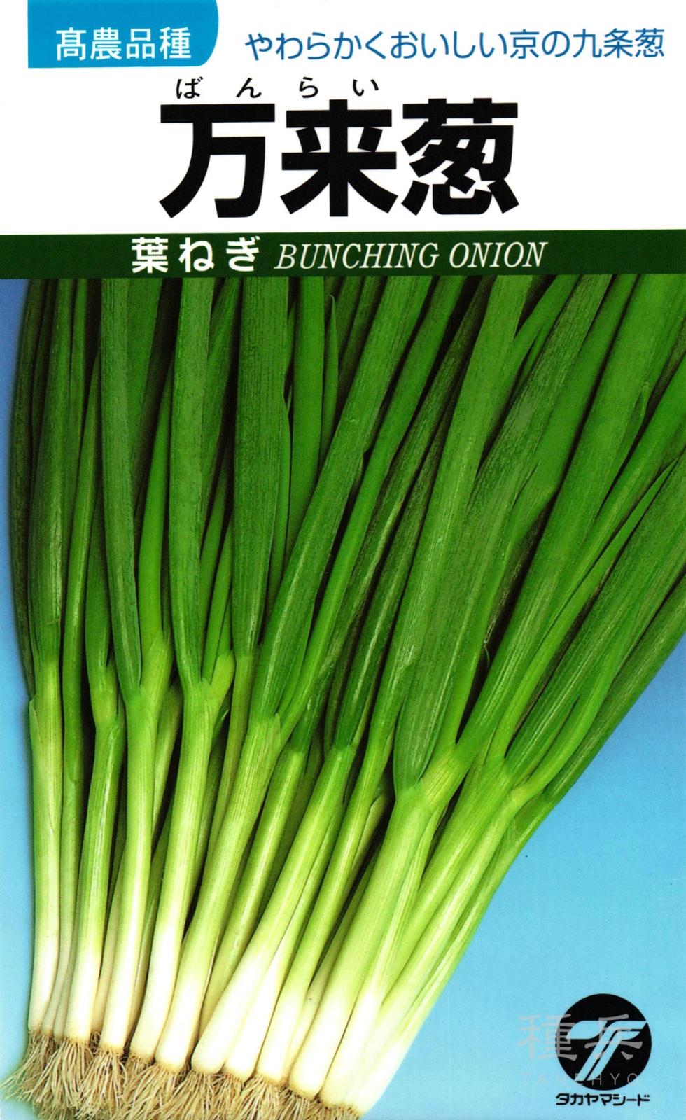 葉ネギ 種 『万来葱』  タカヤマシード