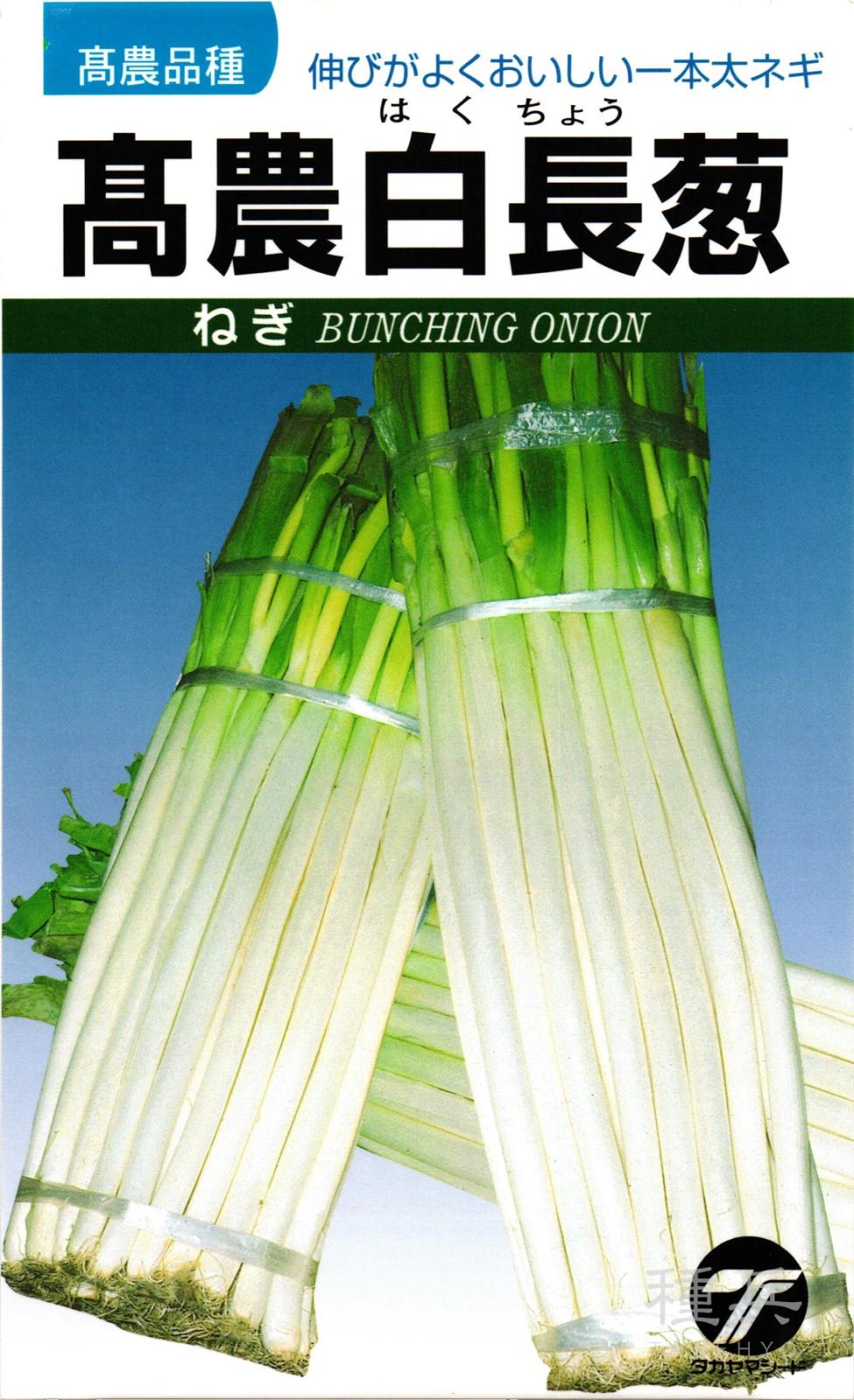 根深ネギ 種 『高農白長葱』  タカヤマシード