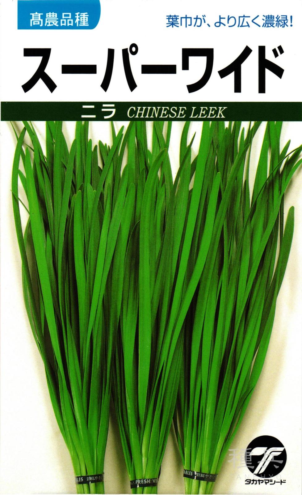 ニラ 種 『スーパーワイド・ニラ葱』  タカヤマシード