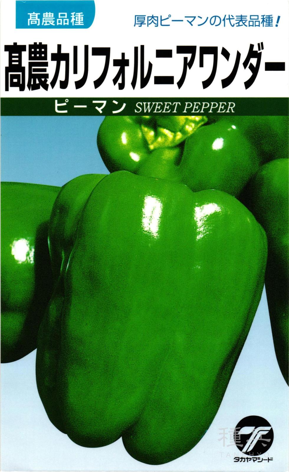 肉厚ピーマン 種 『高農カリフォルニアワンダー』  タカヤマシード