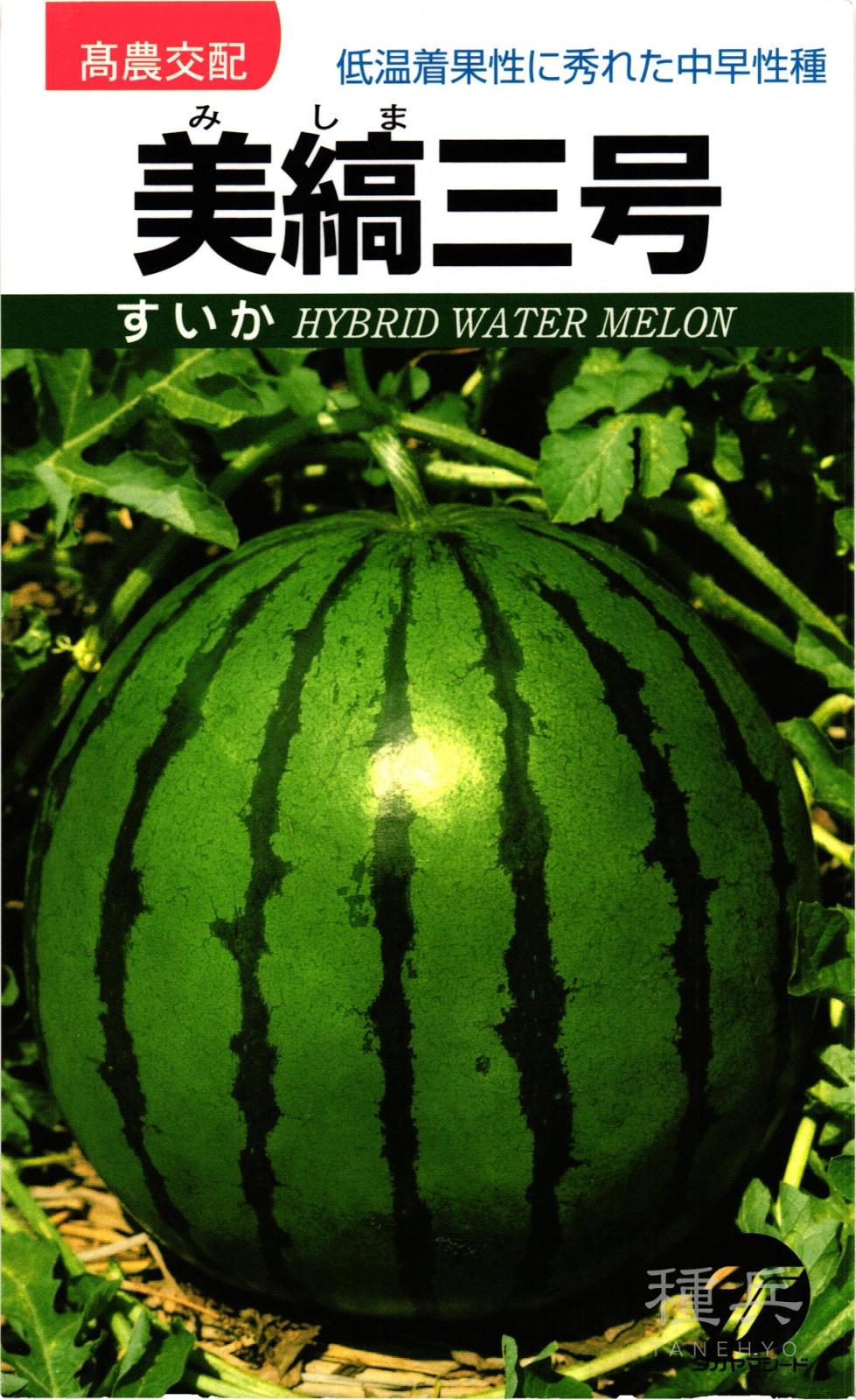 大玉スイカ 種 『美縞三号』  タカヤマシード