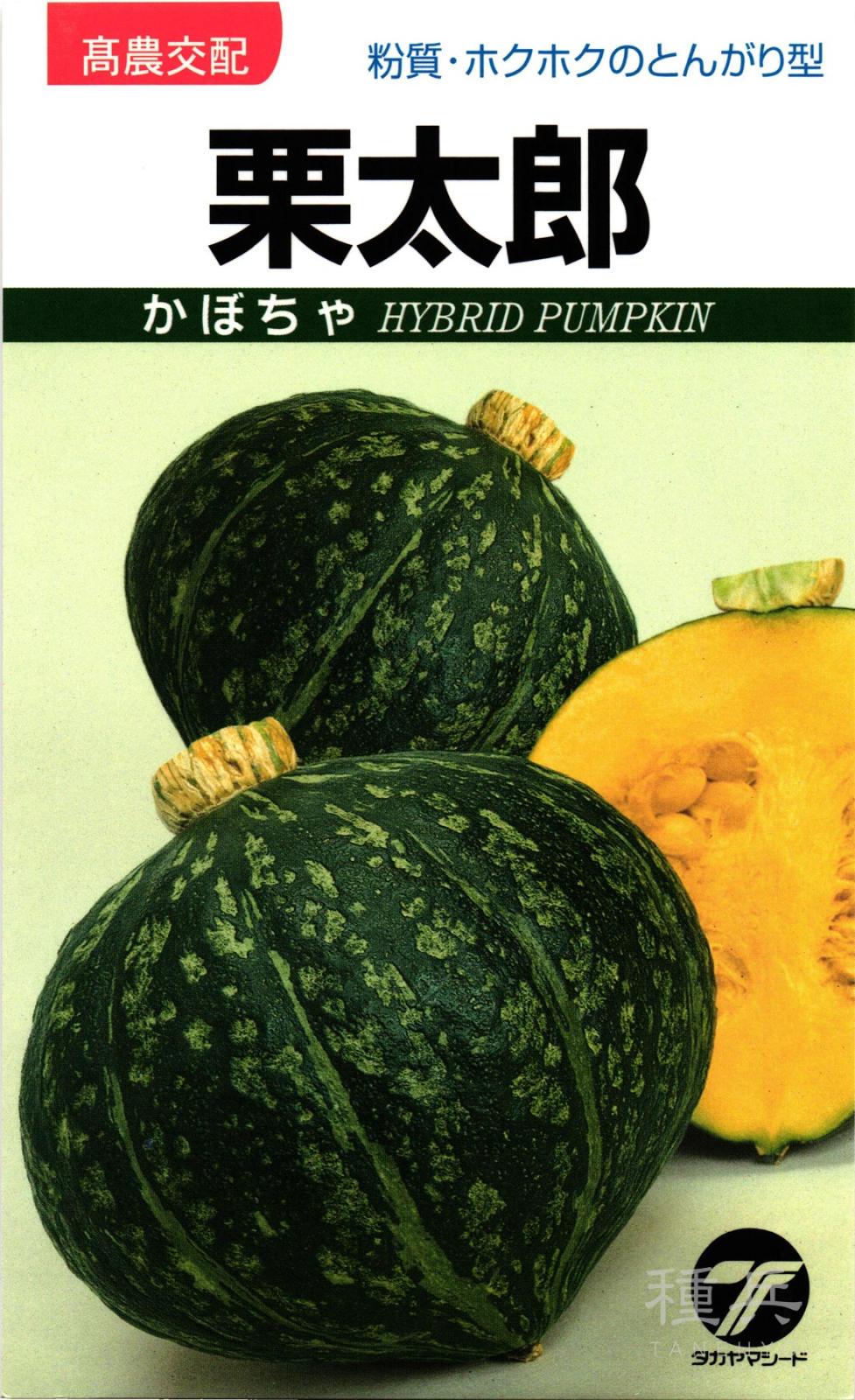 栗カボチャ 種 『栗太郎南瓜』  タカヤマシード