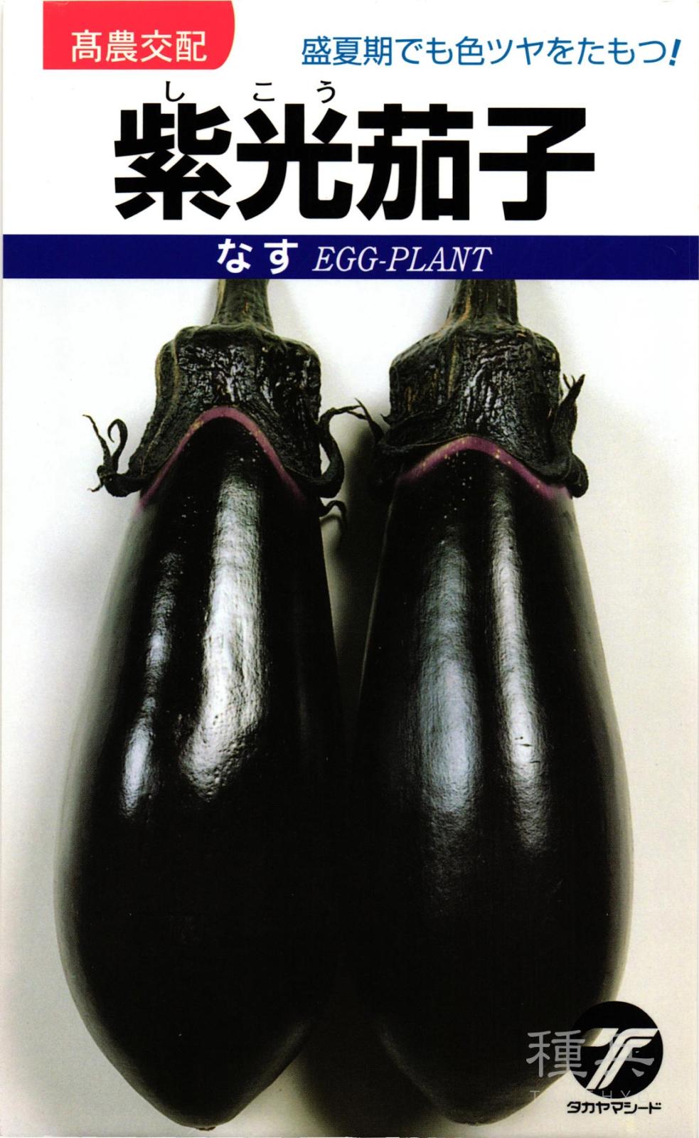長ナス 種 『紫光茄子』  タカヤマシード