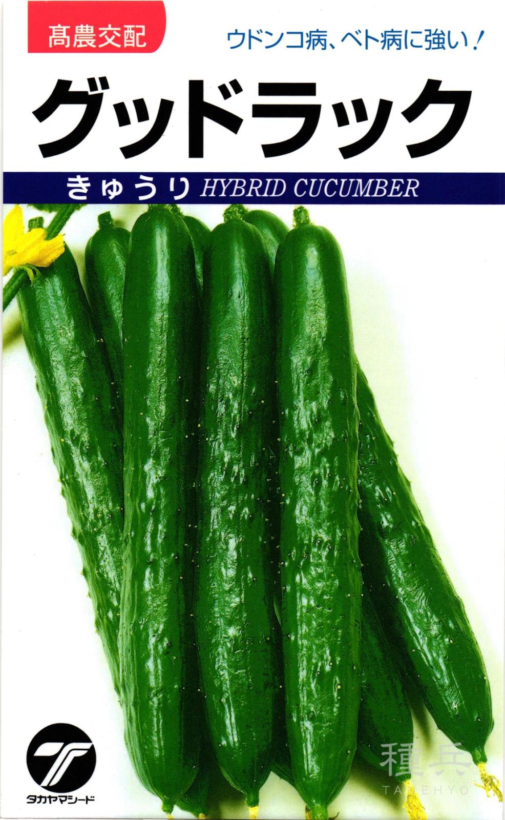 キュウリ 種 『グッドラック』  タカヤマシード