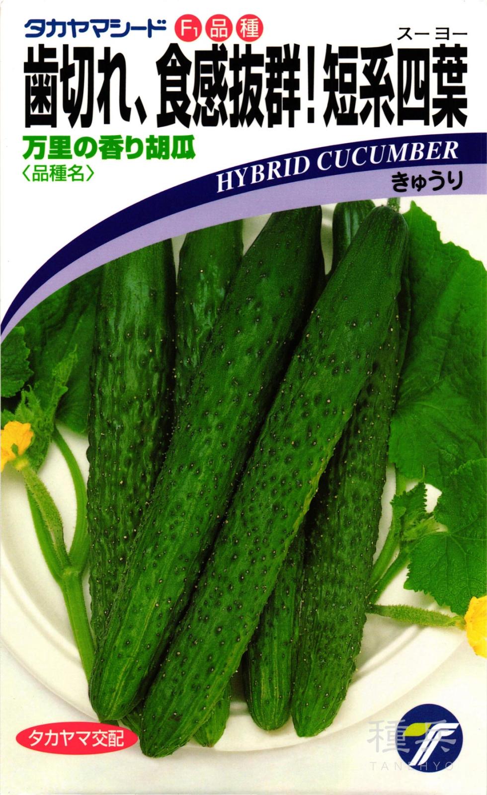 四葉キュウリ 種 『万里の香り』  タカヤマシード
