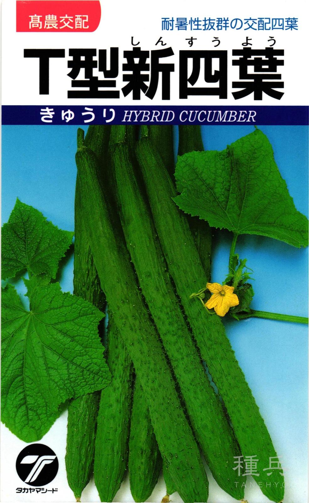 四葉キュウリ 種 『T型新四葉』  タカヤマシード