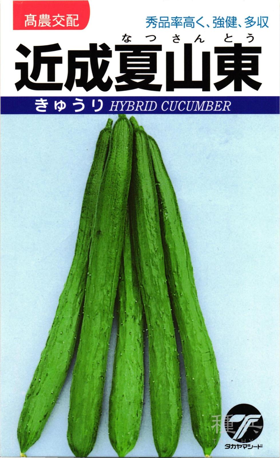 キュウリ 種 『近成夏山東』  タカヤマシード