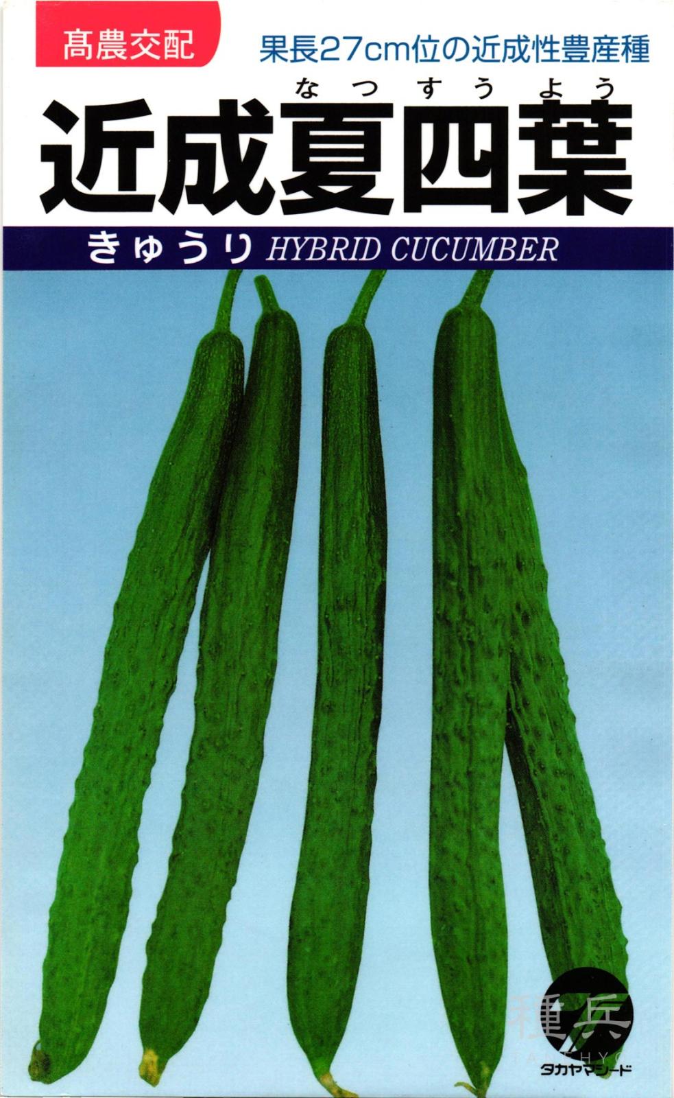 四葉キュウリ 種 『近成夏四葉』  タカヤマシード