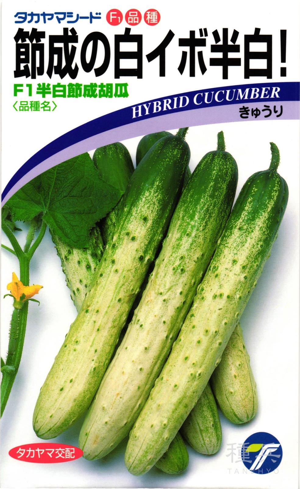 半白キュウリ 種 『F1半白節成胡瓜』  タカヤマシード