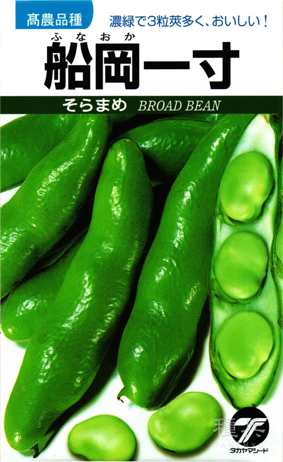 ソラマメ 種 『船岡一寸』  タカヤマシード