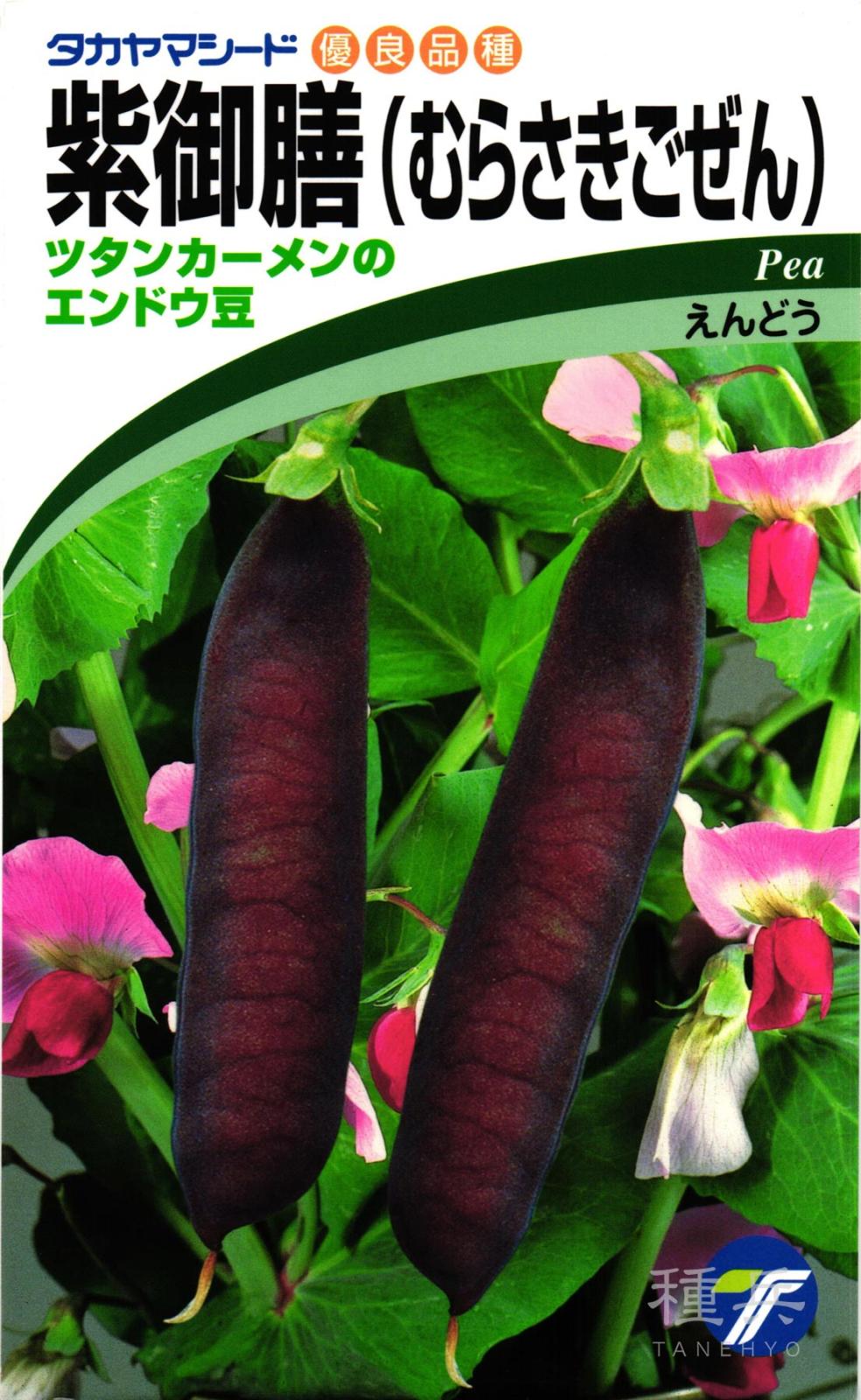 紫エンドウ 種 『紫御膳』  タカヤマシード