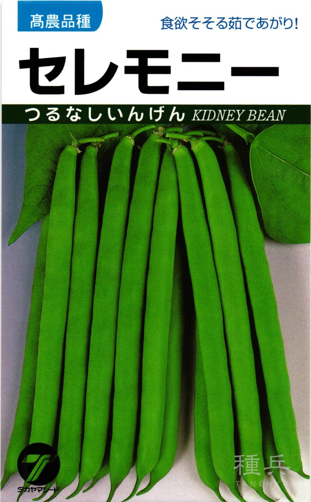 つるなしインゲン 種 『セレモニー』  タカヤマシード